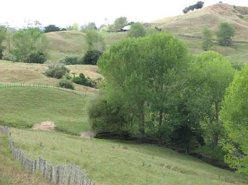 300 Bull Road, Mangapai and Surrounds