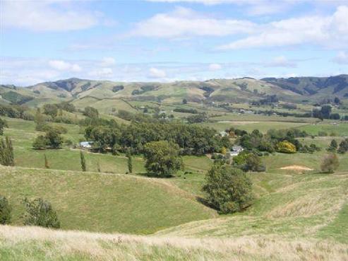 125 Dillon Road, Rotoorangi