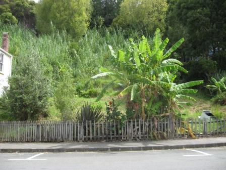 1362 Kohukohu Road, Kohukohu