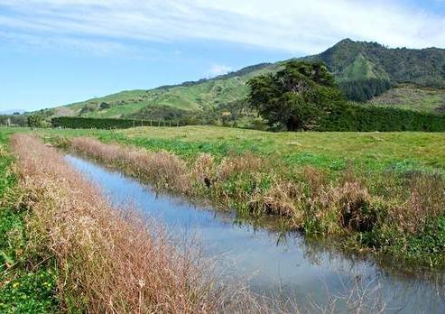 1075 Collingwood-puponga Main Road, Pakawau