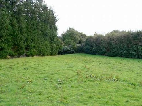 399 Manutahi Road, Lepperton