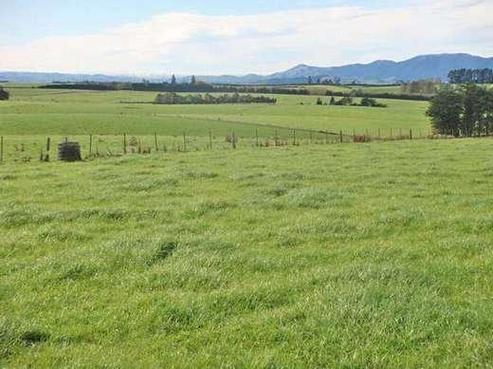 57 Merino Downs Road, Gore Surrounds