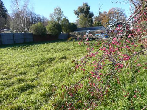 23 Lyall Terrace, Temuka