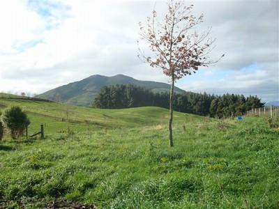 1253 Pokuru Road, Otorohanga