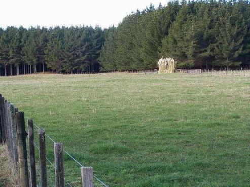 405 Forest Road, Parewanui/Scott's Ferry