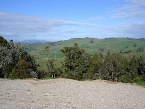 1145 Te Miro Road, Te Miro