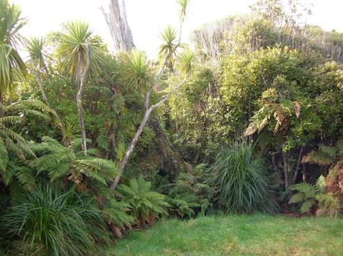 40 Hartmount Place, Punakaiki