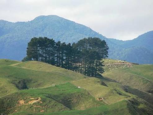 910 Moerangi Road, Oparau