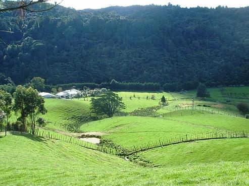 23 Bayer Road, Puhoi