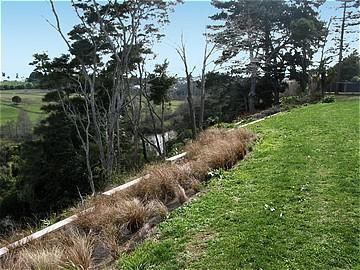 155 Riverlea Road, Riverlea