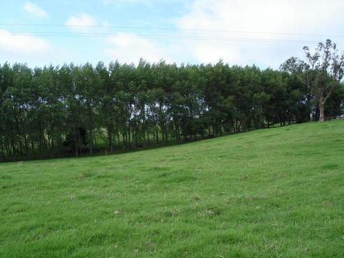 4 Pavel Place, Kaiwaka