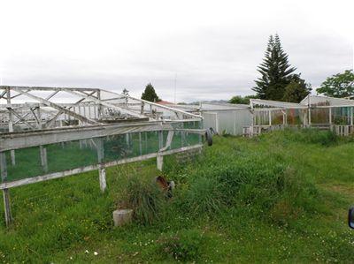 96 Wellington Street, Opotiki and Surrounds