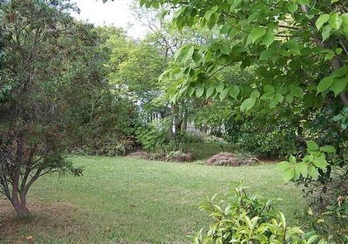 28A Kotuku Street, Te Aroha