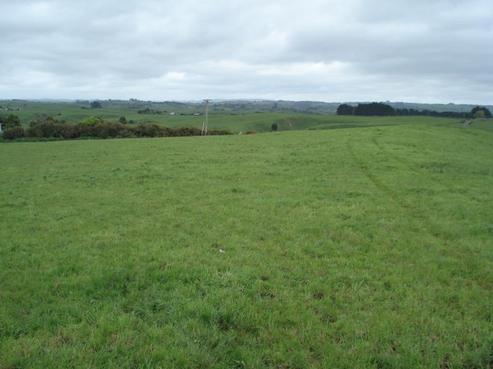 1 Chapman Road, Te Atatu Peninsula