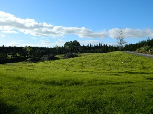 43 Access Road, Kerikeri