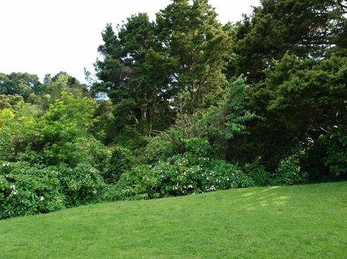426 Maunu Road, Maunu