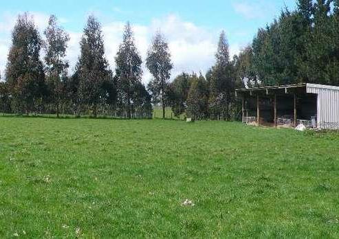 29F Harrison Road, Fordell