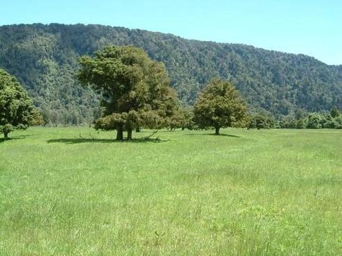 7 Greens Road, Franz Josef Glacier