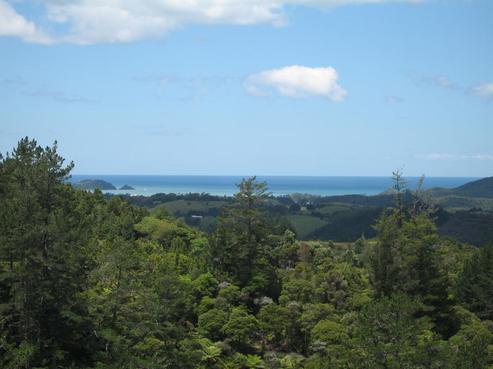 251 Old Kaiatea Road, Kiripaka