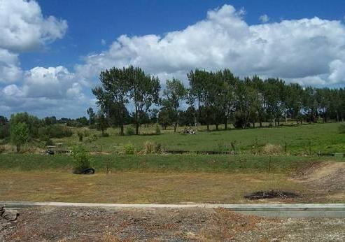 29 Whitaker Street, Te Aroha