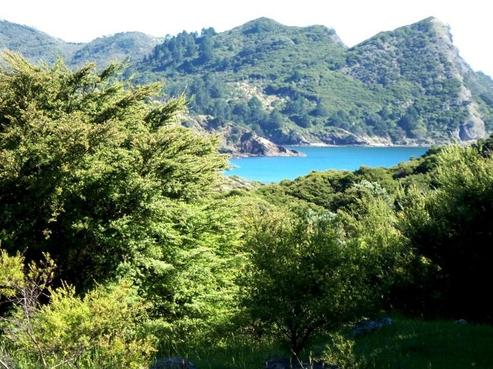 303 Blind Bay Road, Great Barrier Island
