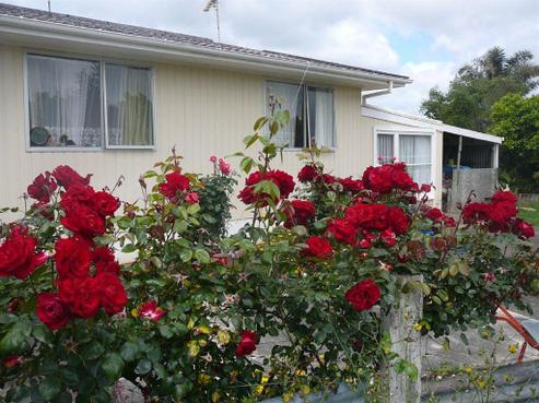 20 Thames Road, Paeroa