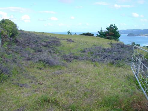 420 Gray Road, Great Barrier Island