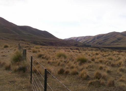1078 Rollesby Valley Road, Fairlie