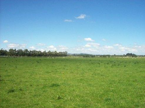 30 O'Brien Road, Winton