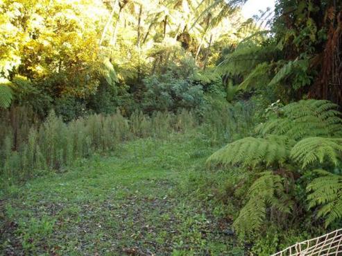 2 Corrondella Grove, Belmont