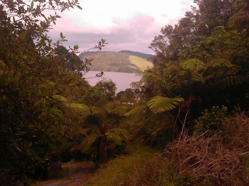 227 Pongakawa Valley Road, Lake Rotoma