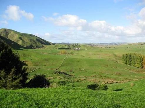 643 Tangowahine Valley Road, Dargaville Surrounds