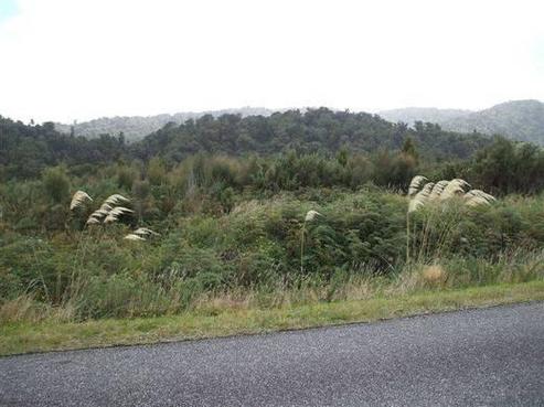 195 Maori Creek Road, Marsden