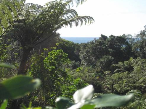 167E Sailors Grave Road, Tairua