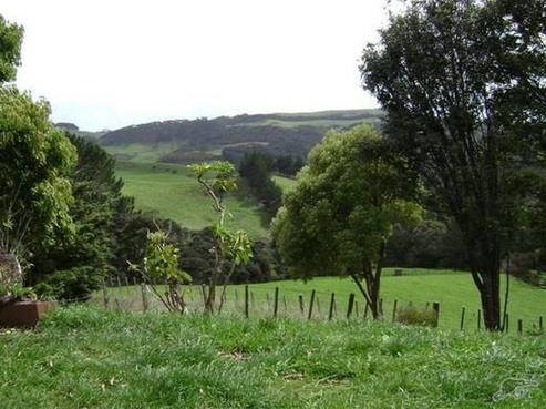 74 Burke Road, Kaukapakapa