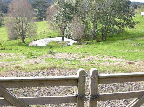 82 Whitehills Road, Waitoki