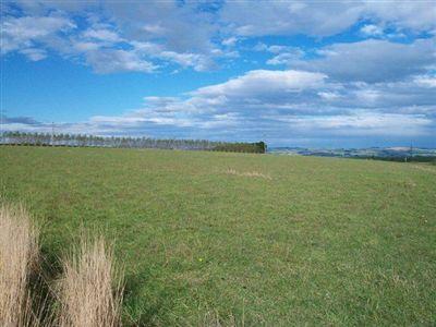 217B Waimumu Road, Gore Surrounds
