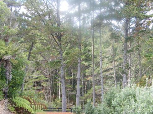 293 Otau Mountain Road, Clevedon