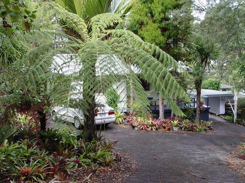 77 Wood Bay Road, Titirangi
