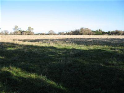 253 East Maddisons Road, Springston