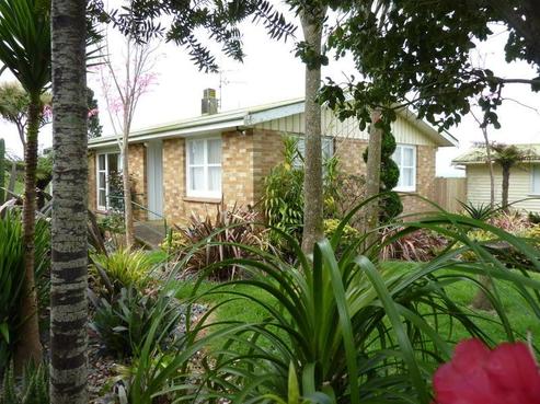 3 Punga Punga Road, Pukekawa