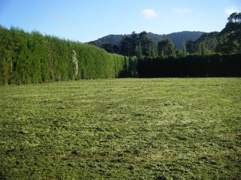 13 Cemetery Road, Maunu