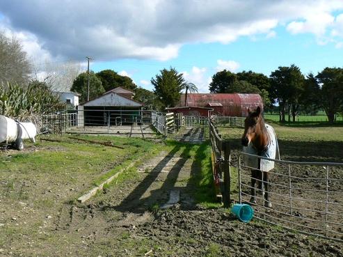 993 Marua Road, Hikurangi