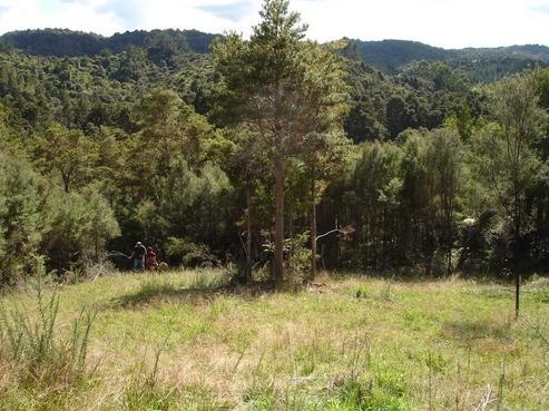 251 Kaiikanui Road, Hukerenui and Surrounds