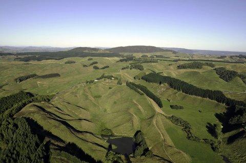 443 Waimangu Road, Whakarewarewa