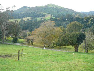 35 County Road, Paeroa