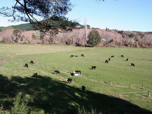 197 Upper Stanley Brook Road, Tapawera