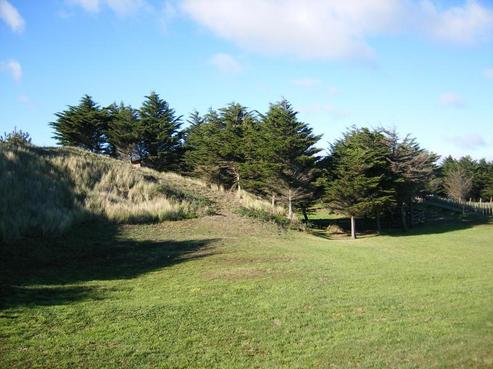 181 Park Avenue, Waitarere Beach