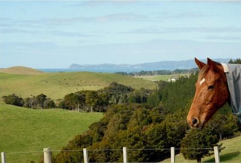 215 Sandford Road, Ruakaka