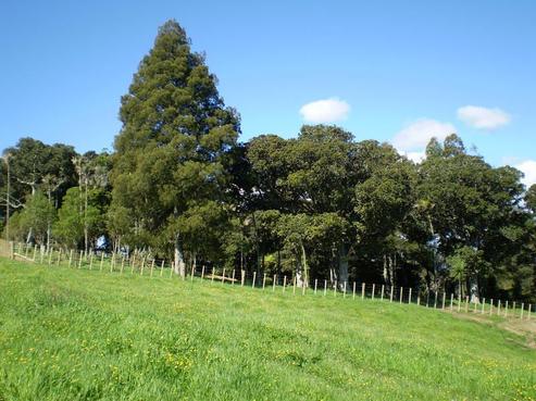 136 Clevedon-takanini Road, Clevedon